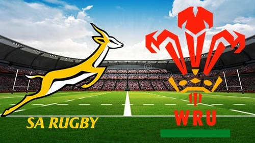 SOUTH AFRICA VS WALES 16.07.2022 RUGBY TEST MATCH FULL MATCH REPLAY
